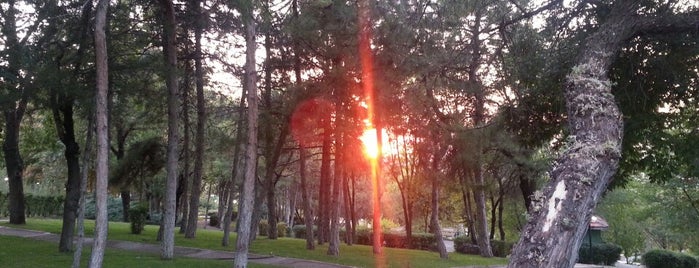 Basın Şehitleri Parkı is one of Tempat yang Disukai Ali.