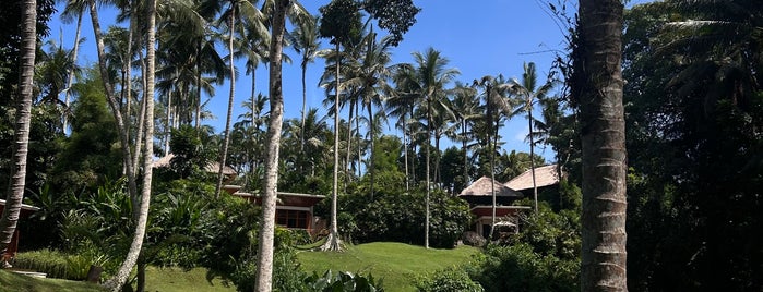 Four Seasons Resort Bali at Sayan is one of Bali - Hotels.