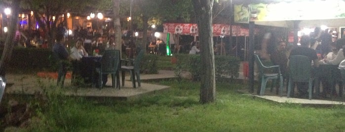 Mega Cafe & Pub is one of EDİRNE.