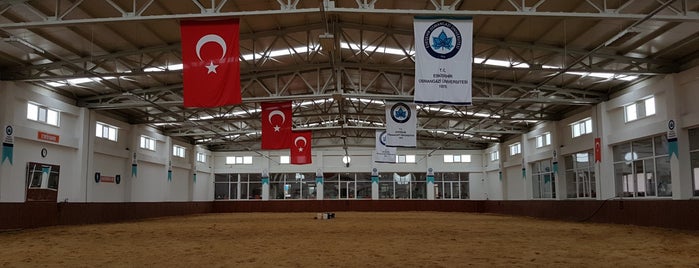 Mahmudiye Atçılık ve Antrenörlüğü Meslek Yüksekokulu is one of Favorite Places @ Eskişehir.