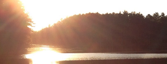 Belleplain State Forest is one of Cape May Birding.