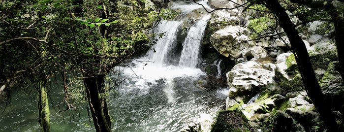 Wonang Waterfall is one of 제주여행.