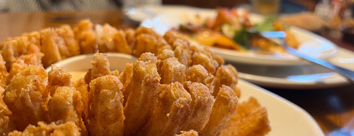 Outback Steakhouse is one of 本厚木・海老名.