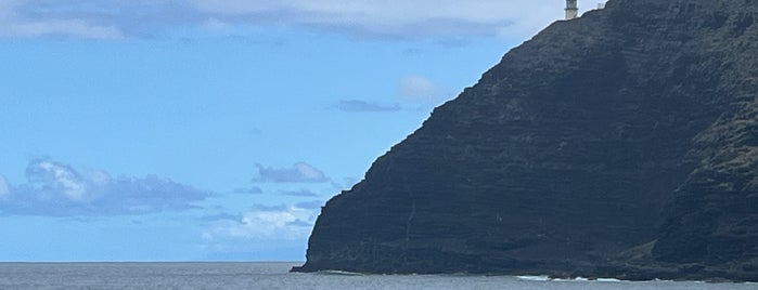 Makapu‘u Beach Park is one of Amanda HI Recos.