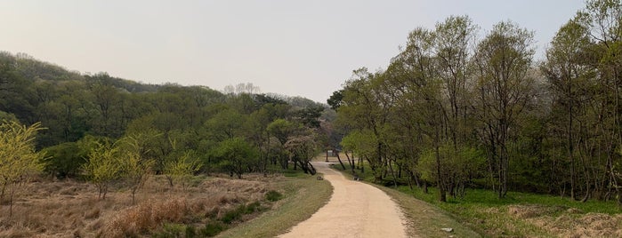 장릉(인조릉) / 長陵 / Jangneung is one of 조선왕릉 / 朝鮮王陵 / Royal Tombs of the Joseon Dynasty.