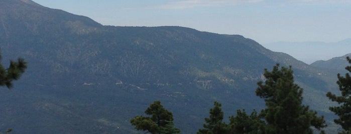 Summit Haus Viewing Deck is one of Elana : понравившиеся места.