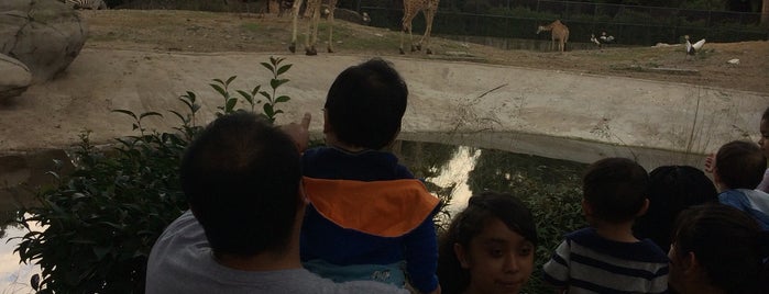 Zoológico de Chapultepec is one of 365 places for 2014.