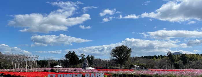 有明の森フラワー公園 is one of 観光8.