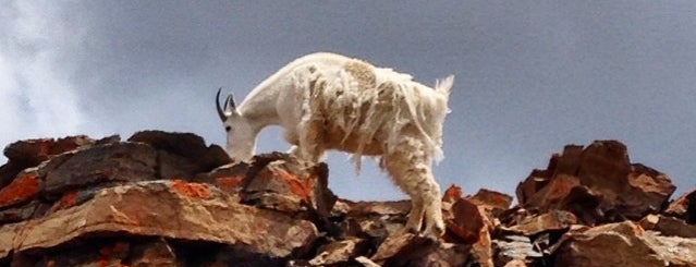 Mount Cameron is one of Zach'ın Beğendiği Mekanlar.