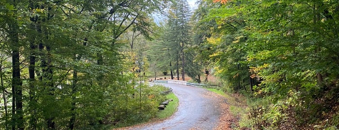 Akron Falls Park is one of Fun.