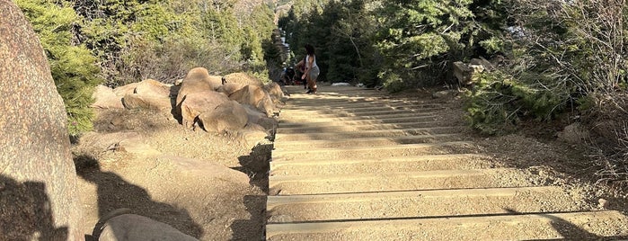 Mt. Manitou Incline Summit is one of ColoSpgs Faves.