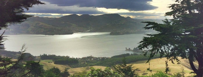 Otago Peninsula is one of NZ favorites by Jas.