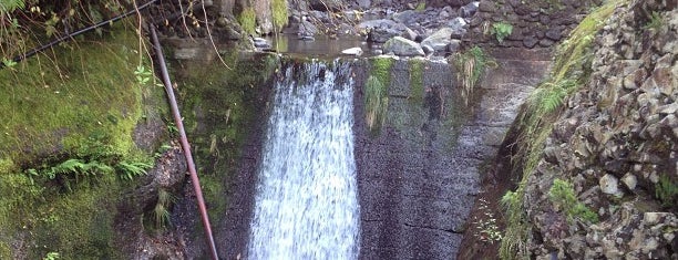 Ribeiro Frio is one of Gespeicherte Orte von Jiordana.