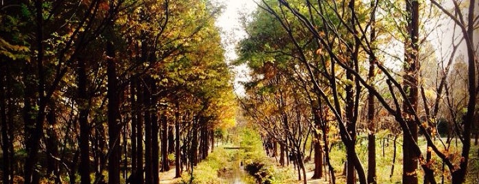 경상북도 산림환경연구소 is one of 경주 / 慶州 / Gyeongju.