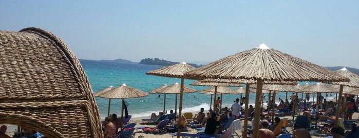 Livari beach is one of Sithonia.