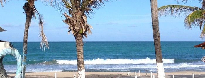 Pousada Maraca Beach is one of Locais curtidos por Julia.