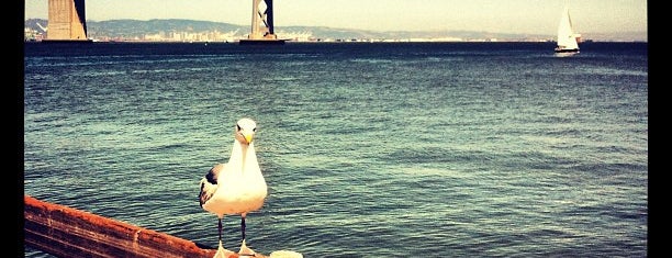 San Francisco Bay Ferry Terminal is one of San Francisco Favorites.