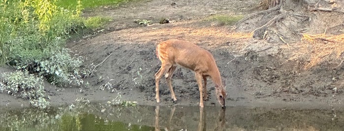 Bunker Hill Forest Preserve is one of Favorite Great Outdoors.