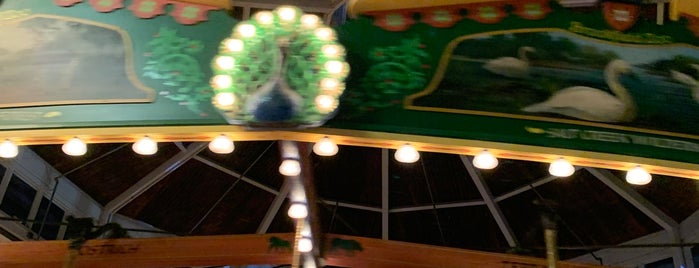 The Carousel is one of Bring Caden.