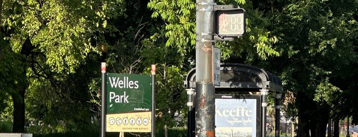 Welles Park is one of Chicago.