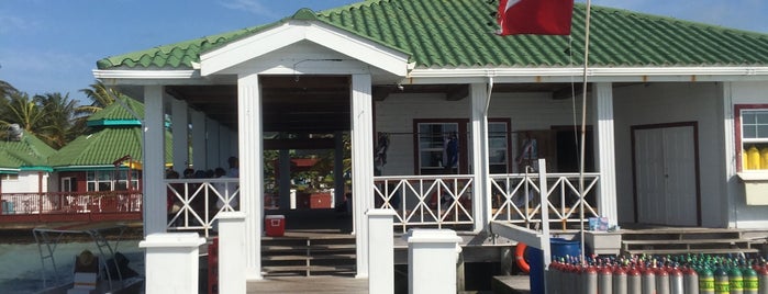 Belize Pro Dive Center is one of Lugares favoritos de ᴡ.