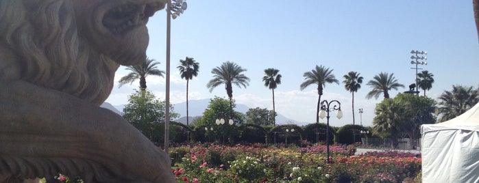 VIP Rose Garden at Coachella is one of Event Venues.