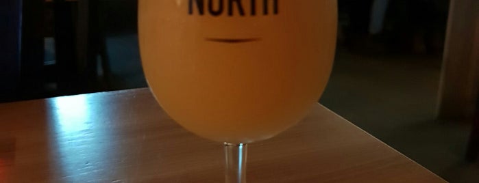 True North Brew Pub is one of Norway!.