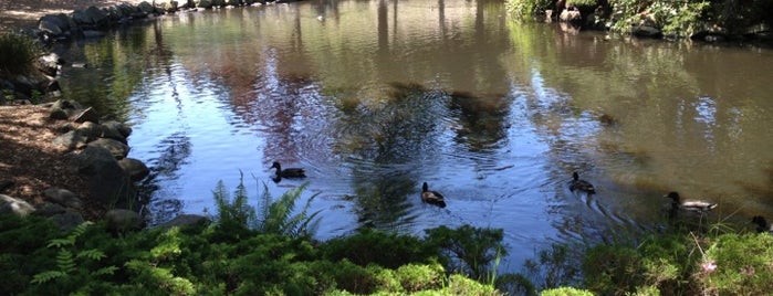 Point Defiance Duck Pond is one of Running.