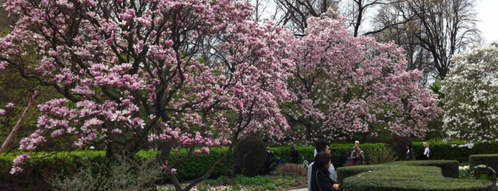 Conservatory Garden is one of NYC's Wildlife Hotspots.