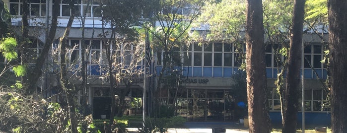 Instituto de Geociências (IGC) is one of USP - São Paulo.