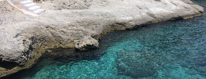 Sotos is one of Aegina 2018.