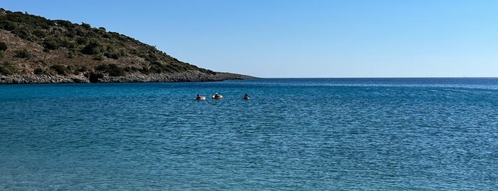 Salagona is one of Sakız.