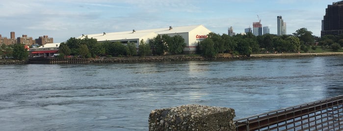 Roosevelt Island Dog Run is one of Dog's Best Friend Badge.