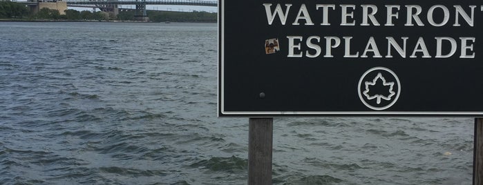 East River Esplanade - E 96 to E 125 St is one of Swimmies Venue NY.