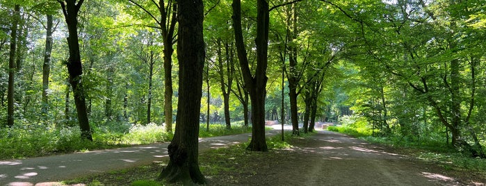 Amsterdamse Bos Ingang Karselaan is one of Volendam - Amsterdam Villages.