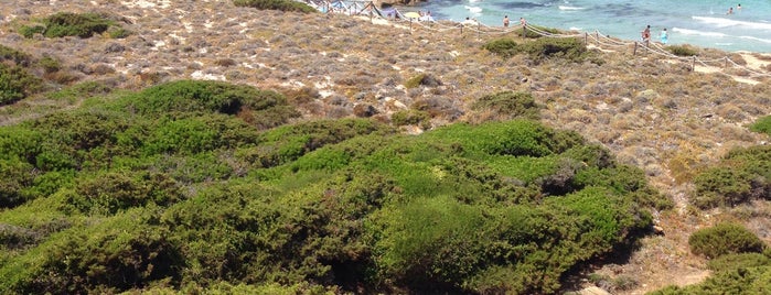 Spiaggia Bassa Trinità is one of Sardegna : best spots.