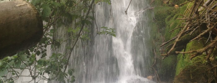 Waterfall is one of Αραχωβα.