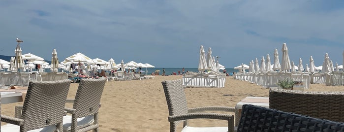 Stella Di Mare is one of Sunny Beach.