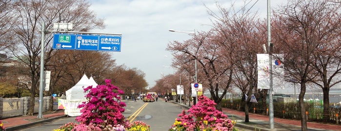 여의도 벚꽃축제 is one of seoul best spots.