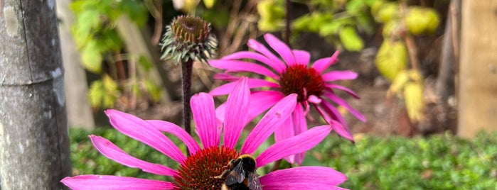 The Alnwick Garden is one of Outdoors.