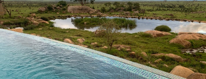 Four Seasons Safari Lodge Pool is one of Tempat yang Disukai Rob.