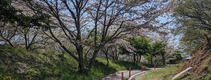 守谷城址公園 is one of 界隈.