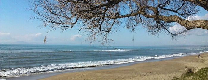 Kourouta Beach is one of Ioannis-Ermis’s Liked Places.