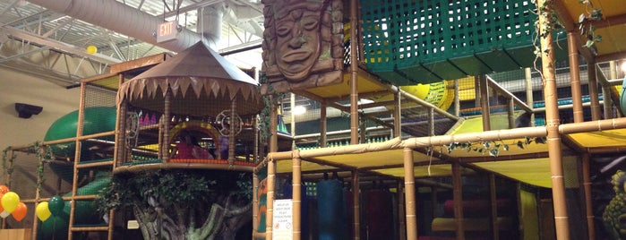 Jungle Java is one of KID FRIENDLY things to do near Detroit.