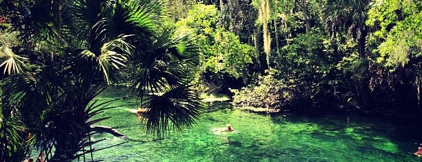 Blue Springs State Park is one of Orlando.