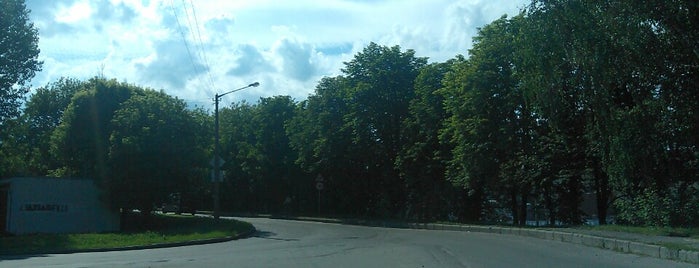 Горбатый мост брест