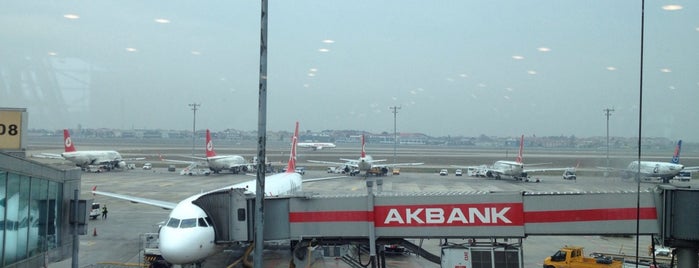 Gate 209 is one of İstanbul Atatürk Airport.