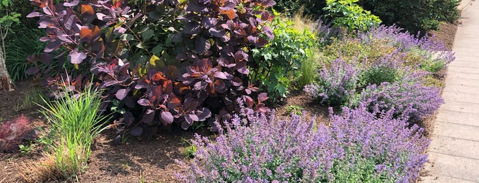 Hahn Horticulture Garden is one of Virginia Tech.