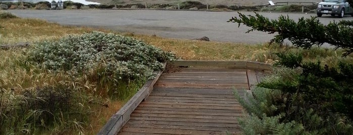 Moonstone Beach Boardwalk is one of APさんのお気に入りスポット.