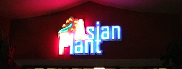 Restaurant Asian Plant is one of holiday.